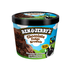 Ben & Jerry's Chocolate fudge brownie ice cream 100 ml